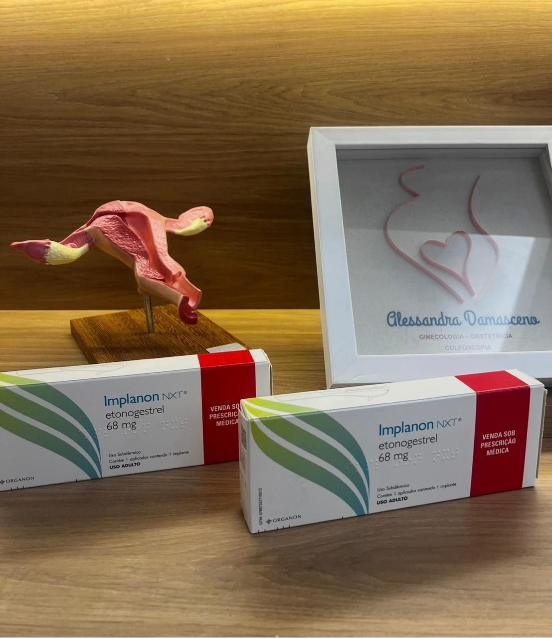 Alessandra Batista De Aguiar Damasceno-19