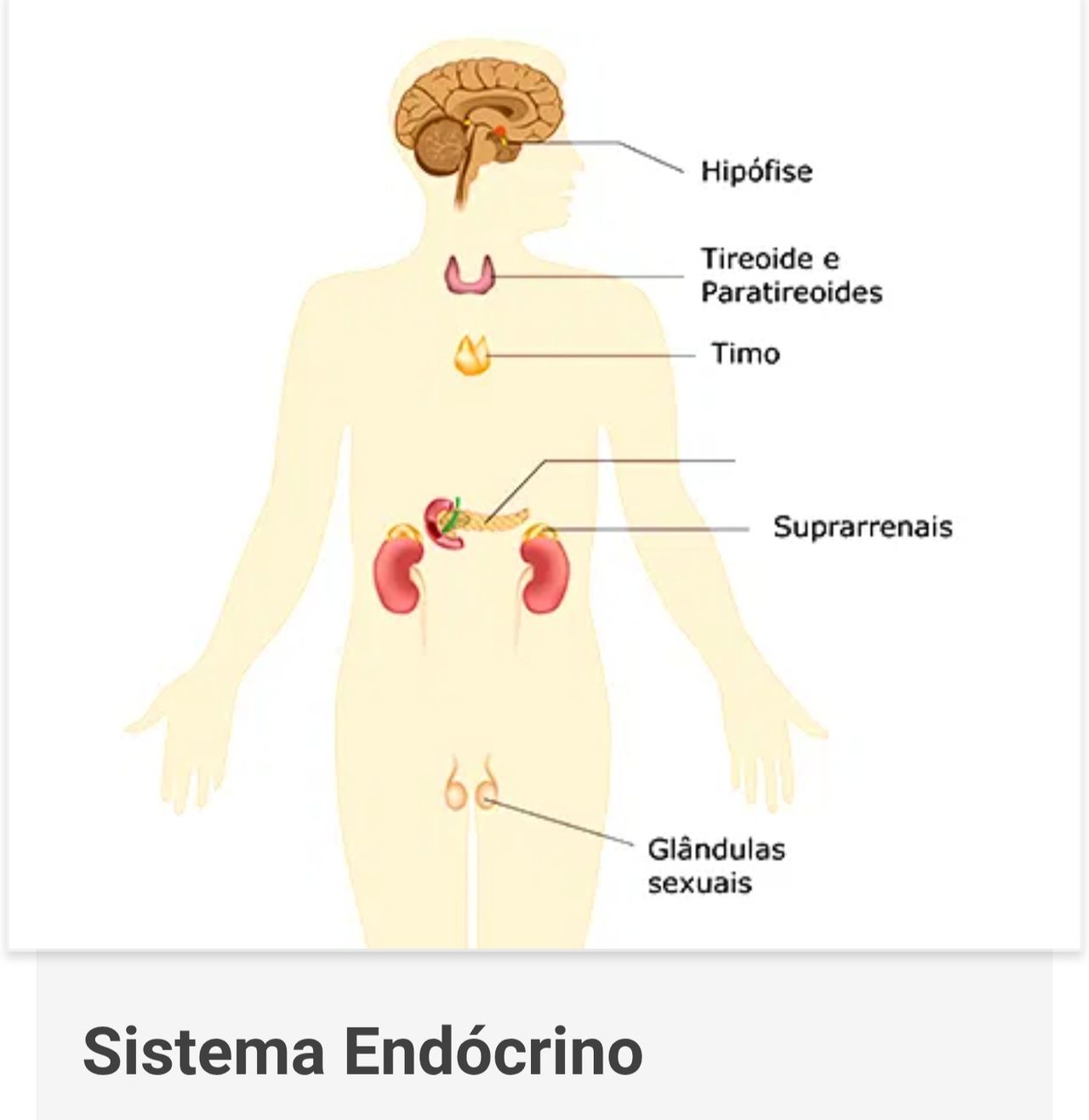 Danilo Sendem-5