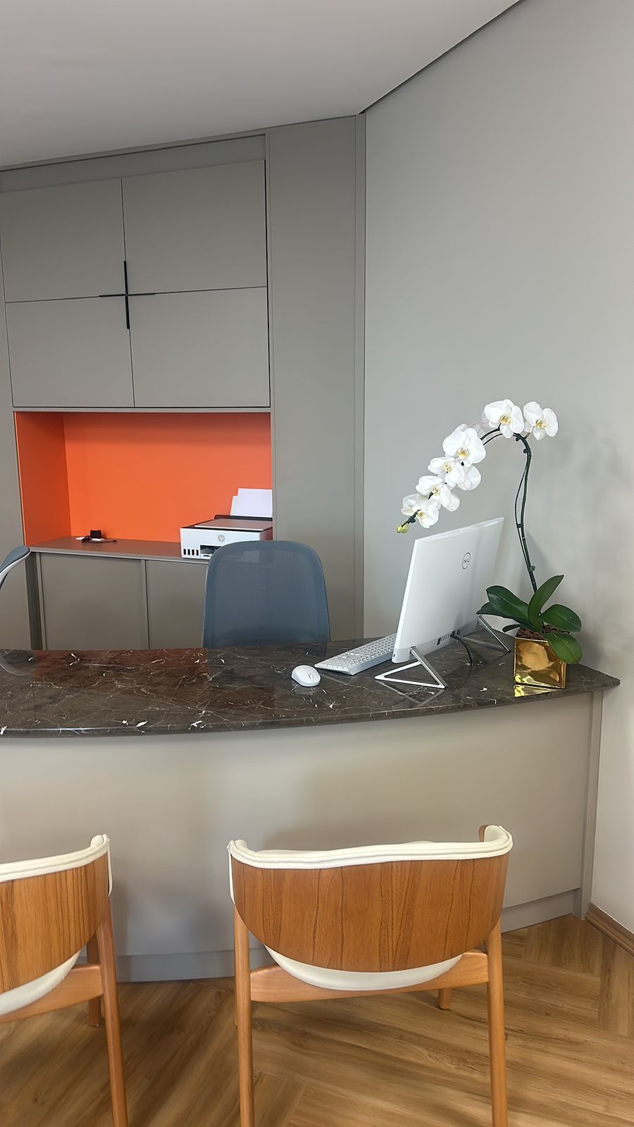 Vanessa Adamo Link-2