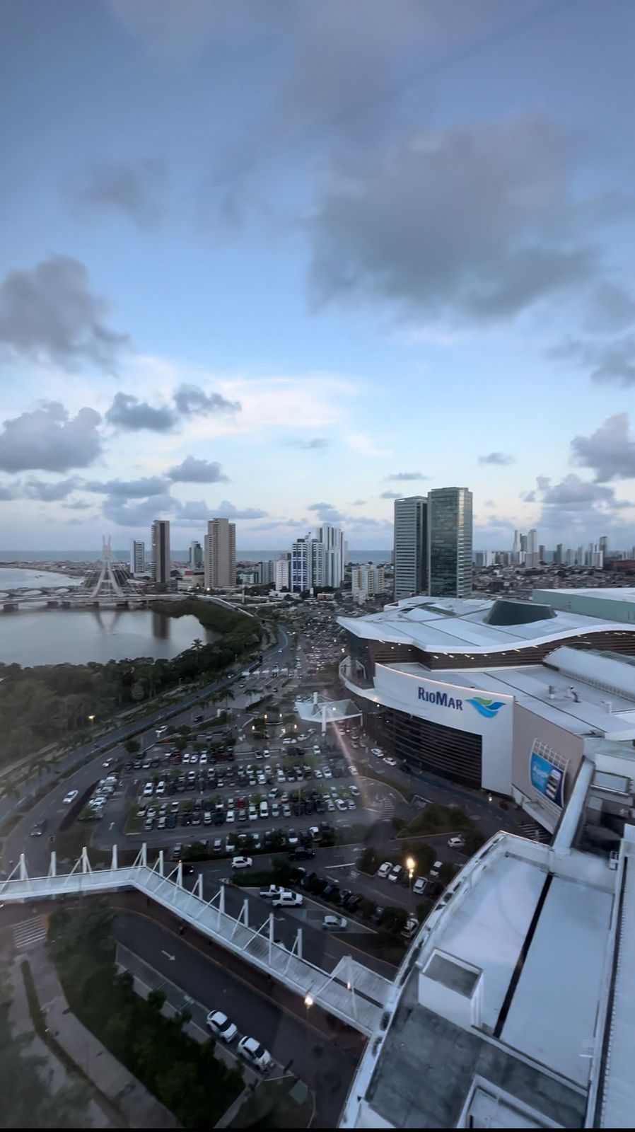 Paulo Sérgio Gomes Júnior-10