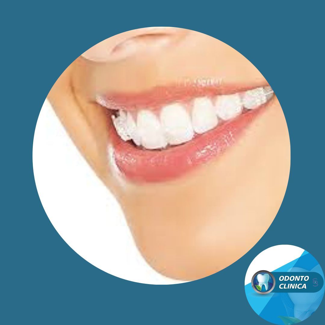 Cecilia Inés Socias Altamirano-25