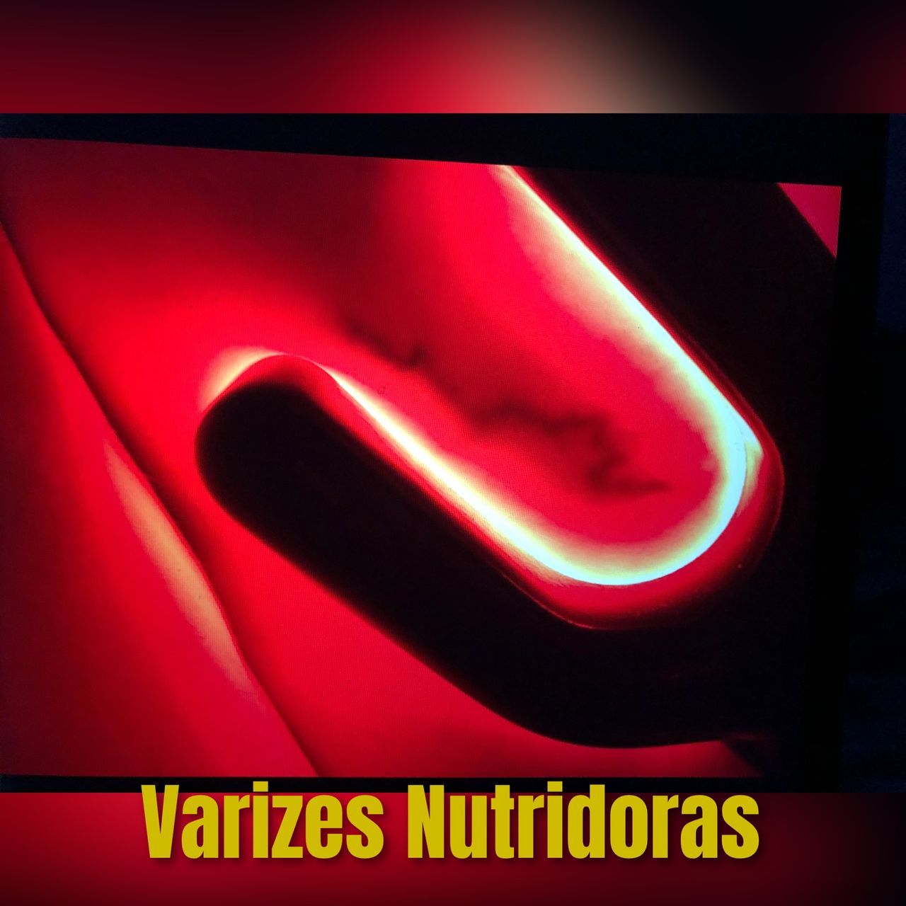 Luiz Carlos Furtat Jr-9