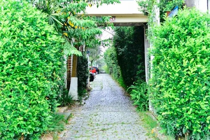 Reginaldo Branco Da Silva-14