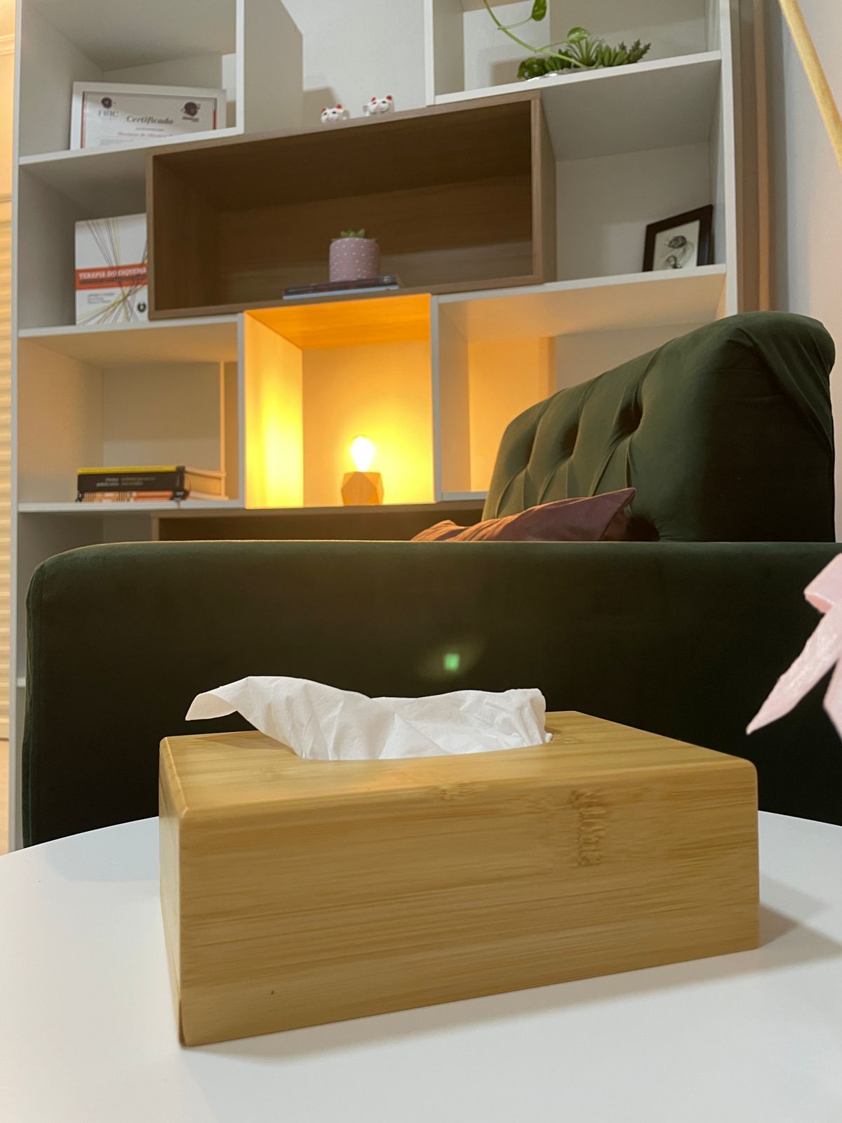 Luiza Christofoletti Vito-7