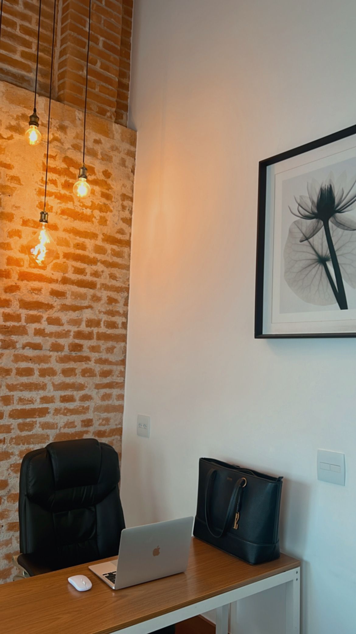 Carla Braga Avelar-8