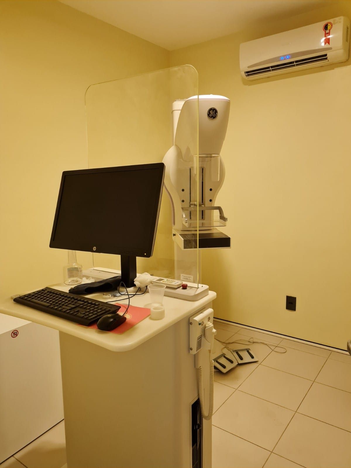 Marina Dias Xerez De Vasconcelos-0