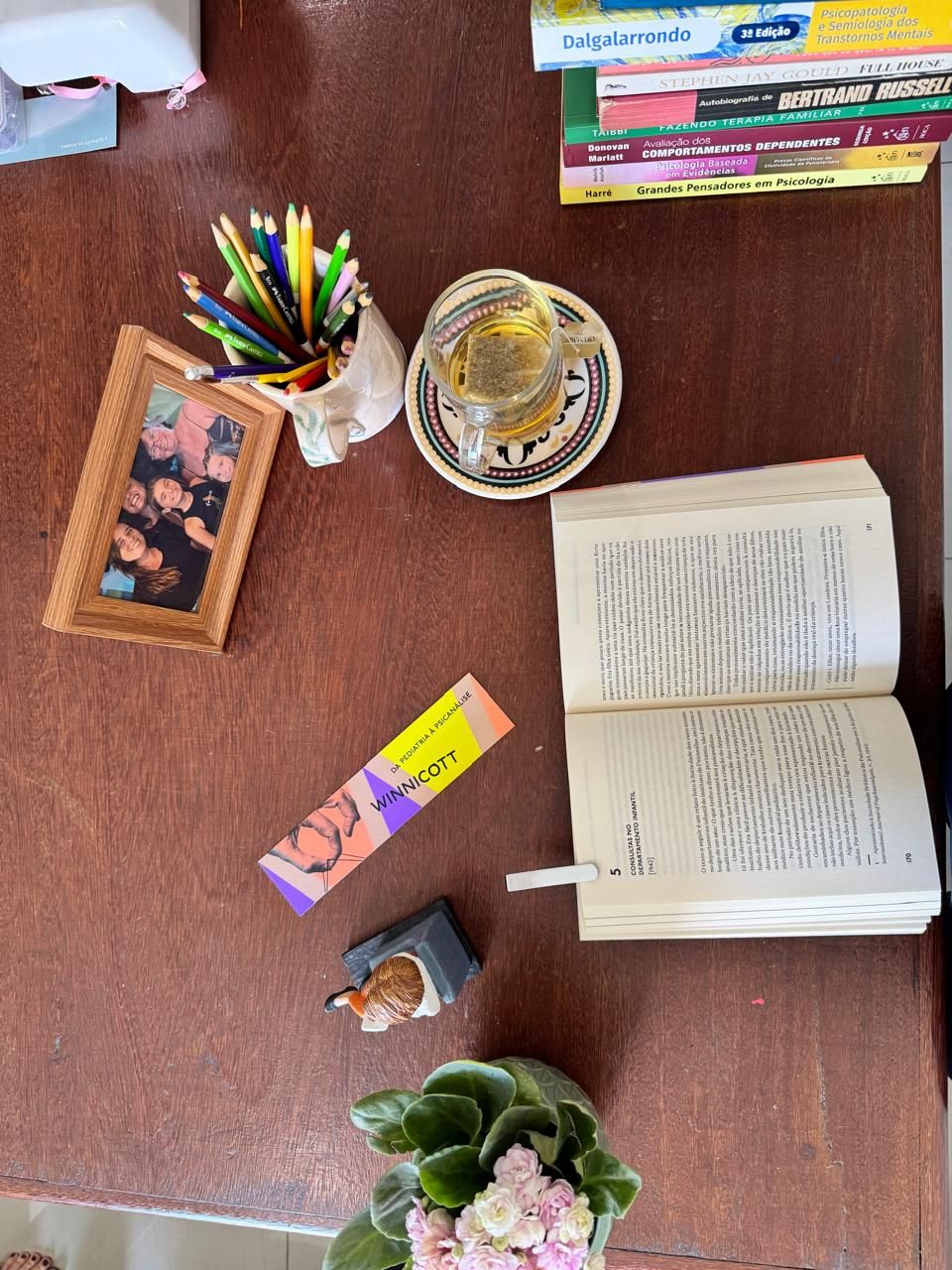 Silaine  Matos Ferreria-2