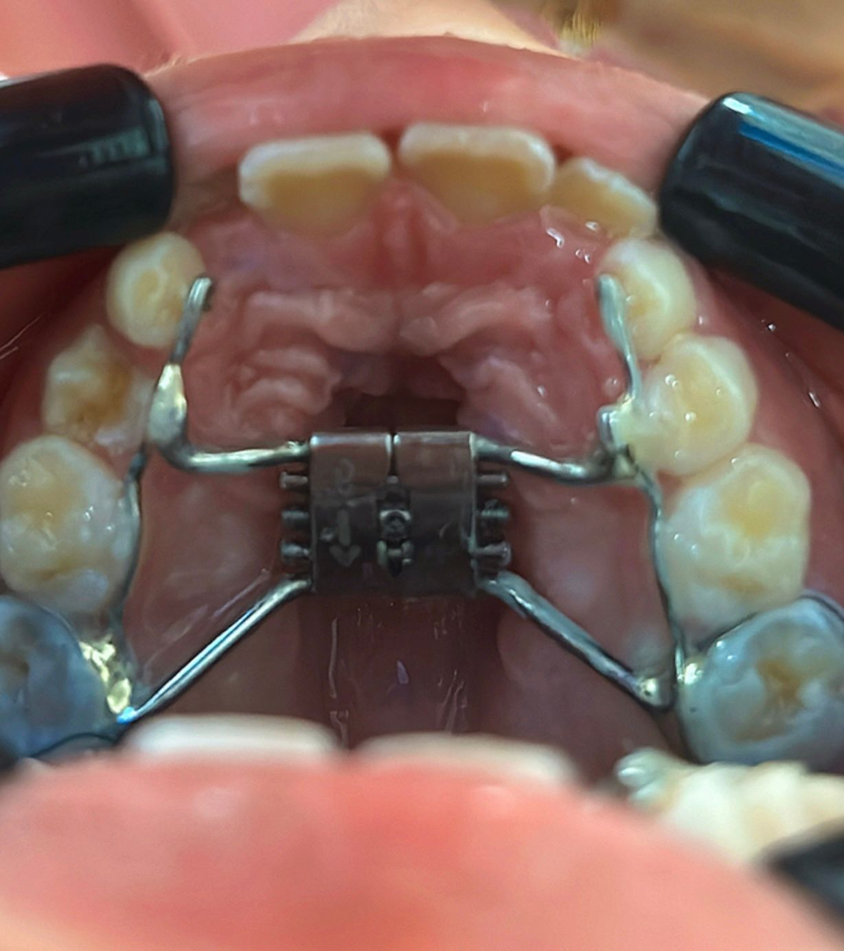 Anna Carolina Macedo-26