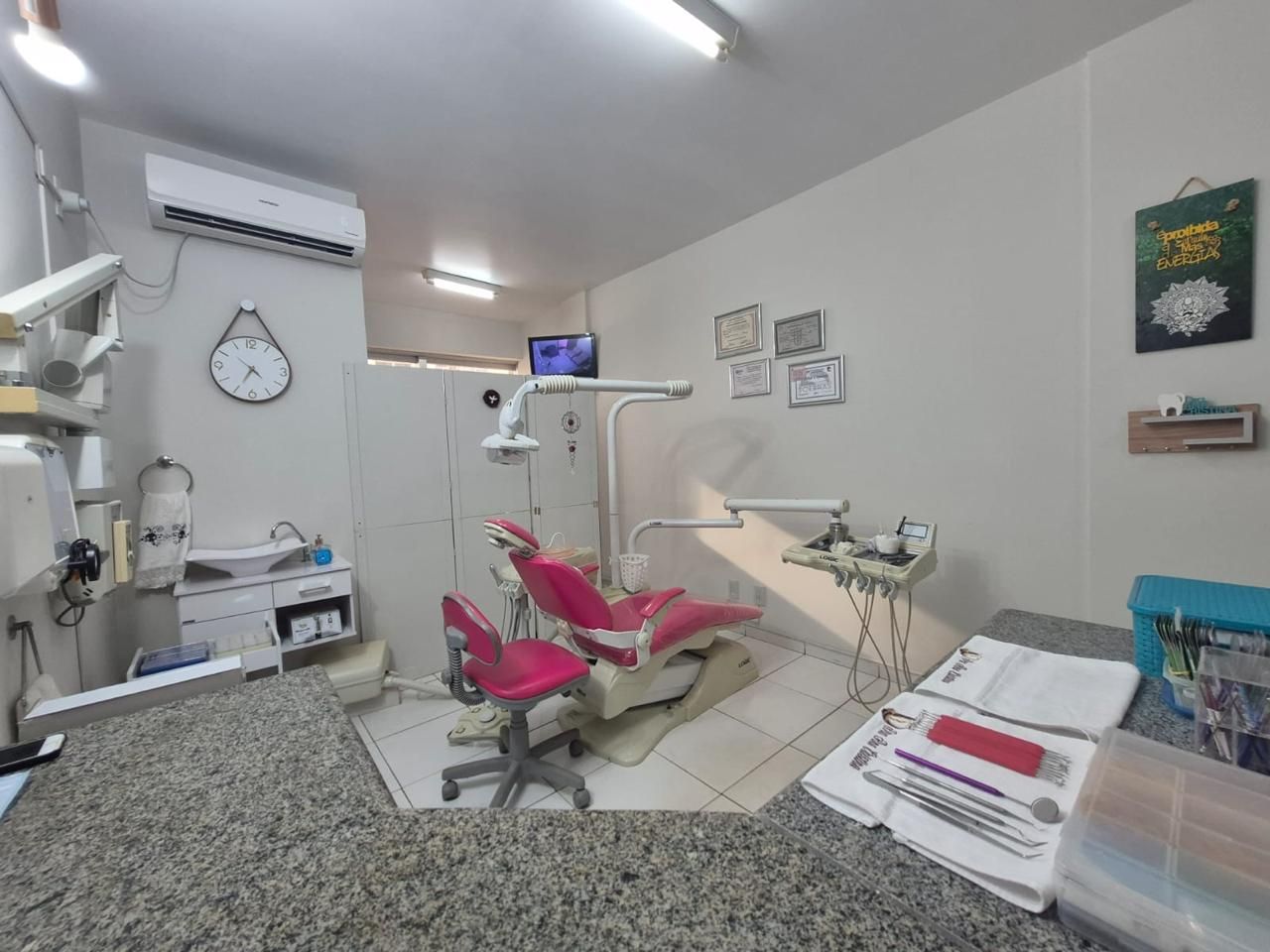 Ana Cristina  De Sousa Fonseca -4