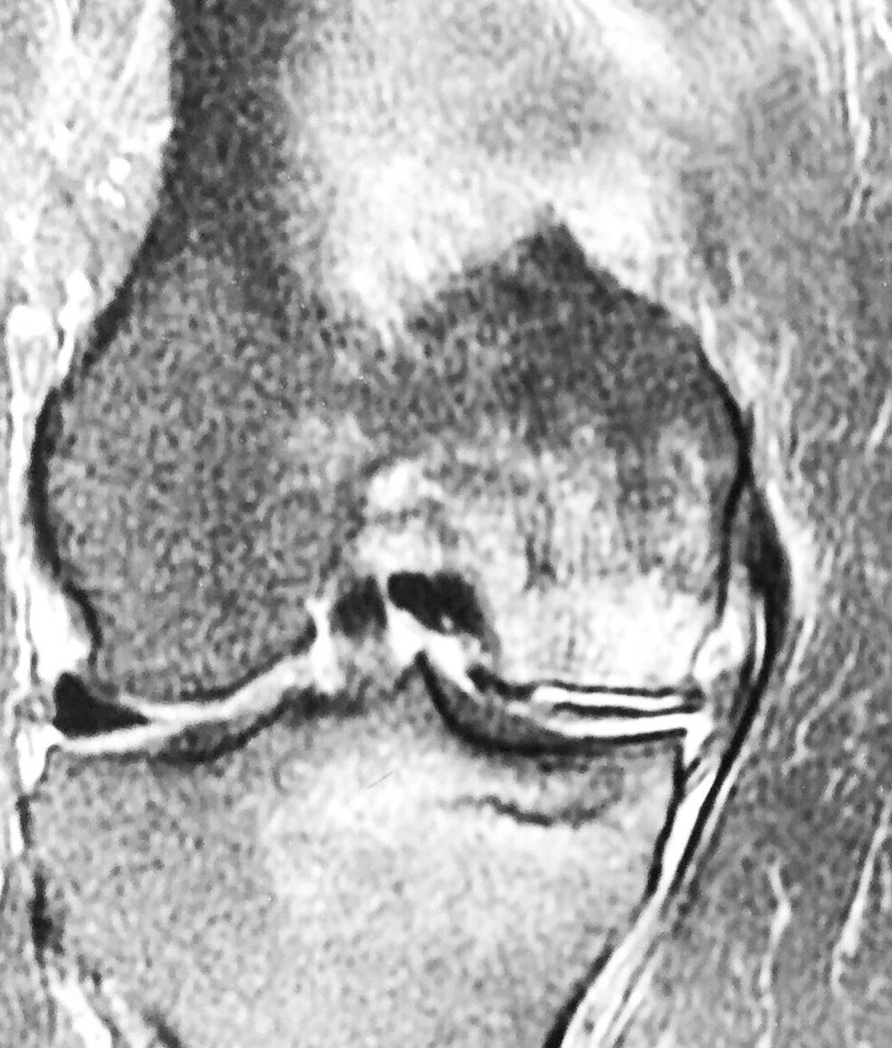 Alexandre Terruggi Jr-2