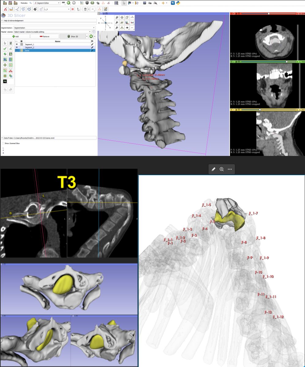 Ricardo Munhoz Da Rocha Guimarães-2