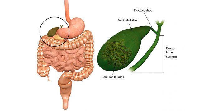 Eduardo Rodrigues Zarco Da Câmara-20