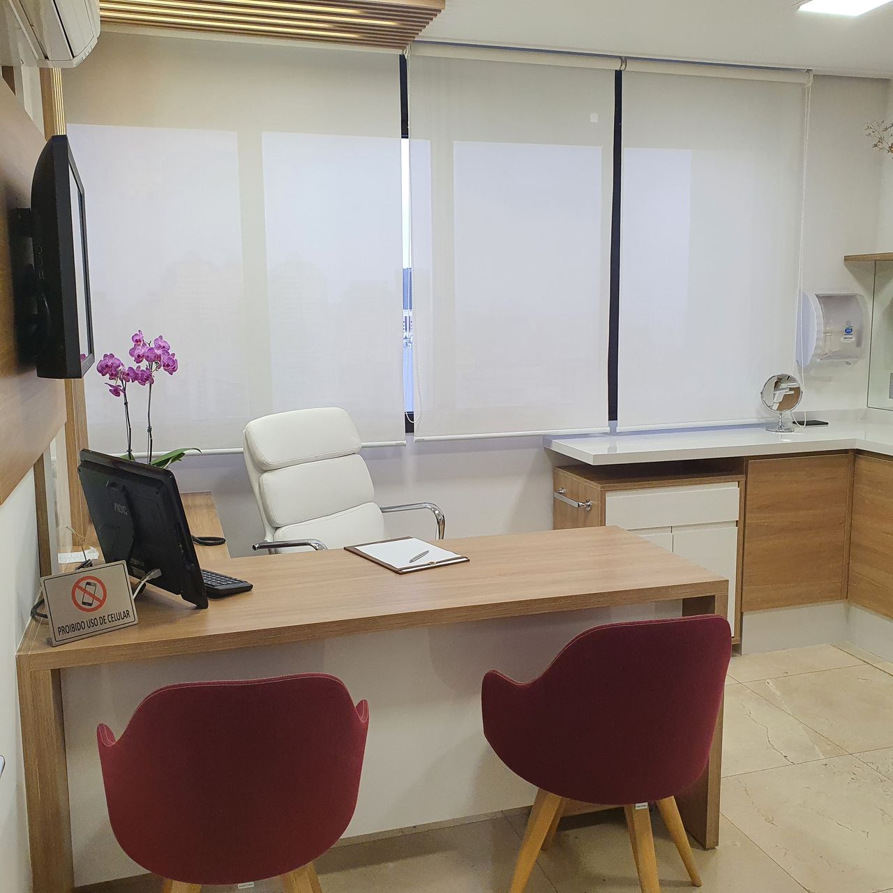 Emilia Leite De Barros Costa-3