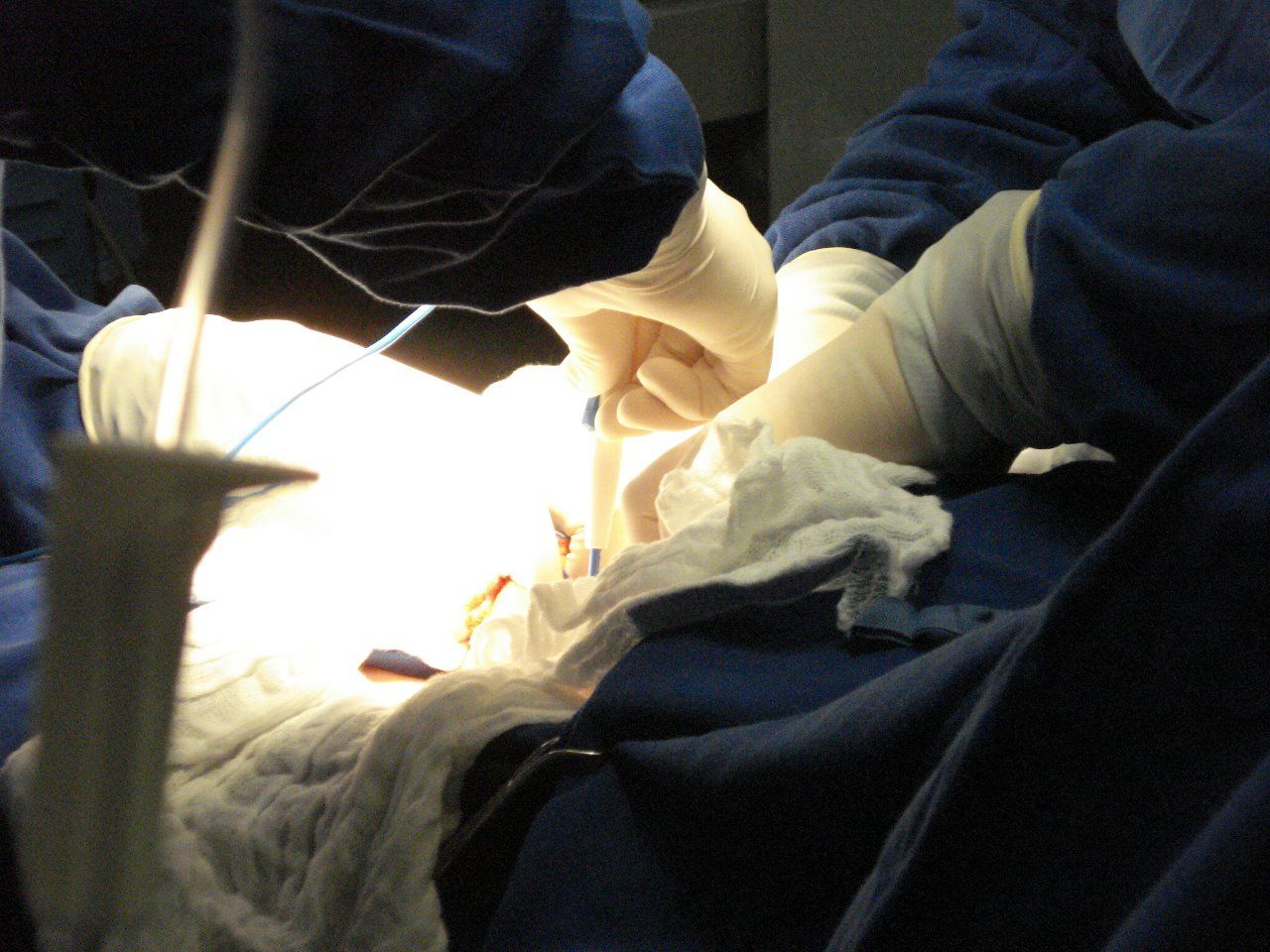 Fatima Akemi Tamaru-40