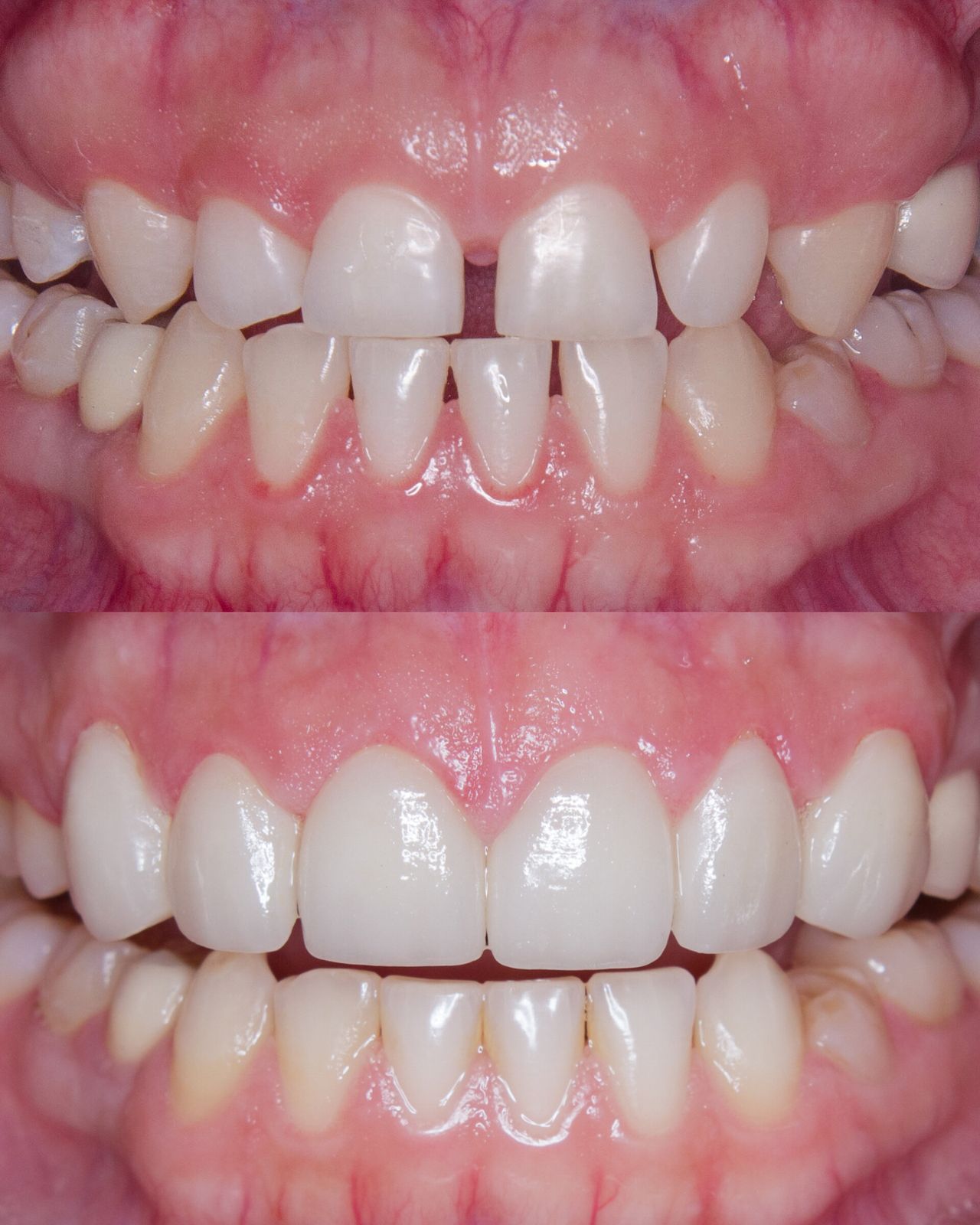 Silvia Bustamante -1