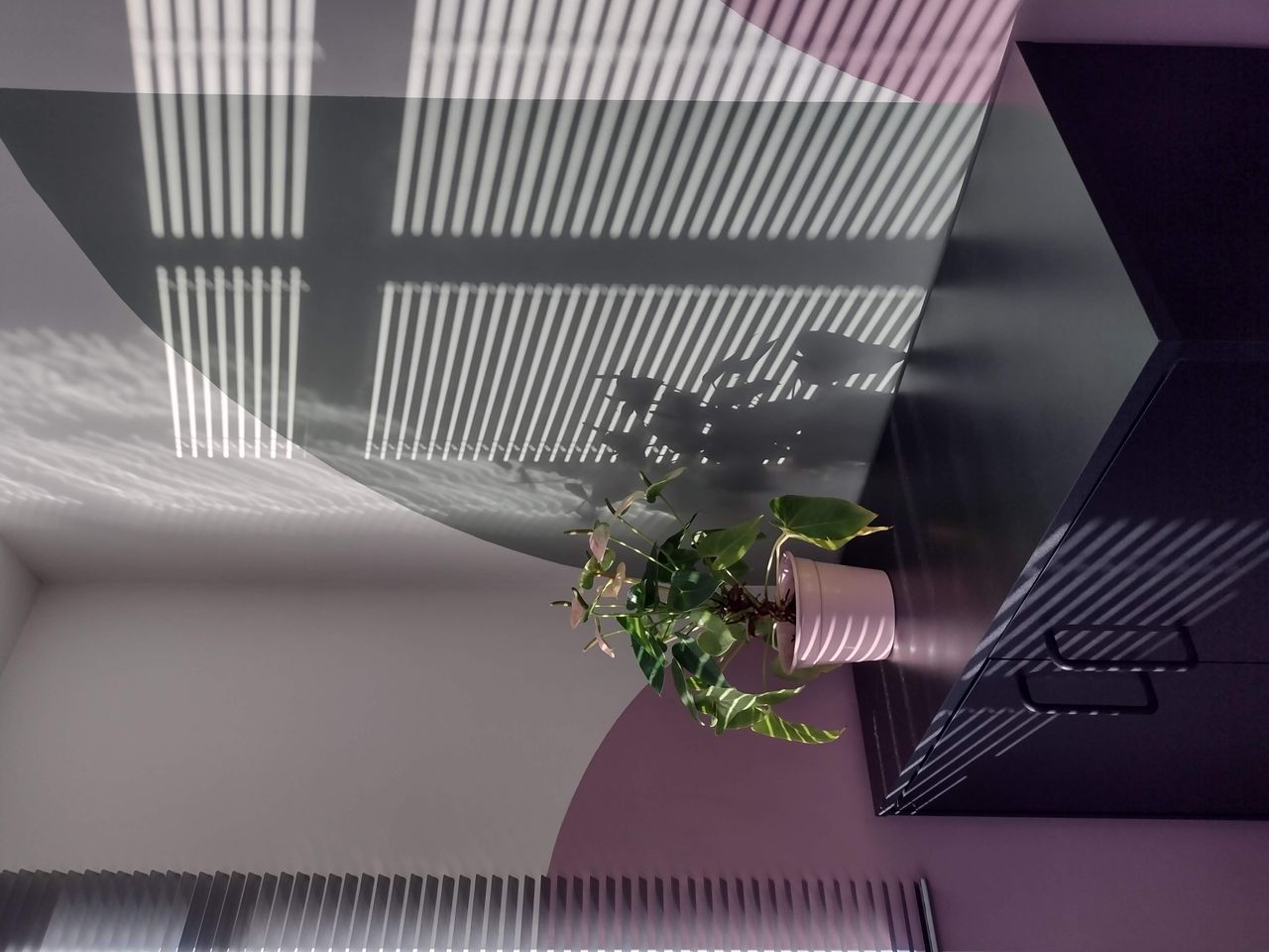 Eloisa Sobh Ambrosio-5