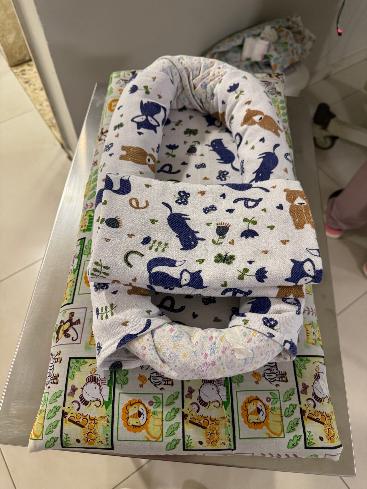 Daniella Cristina Demes-30