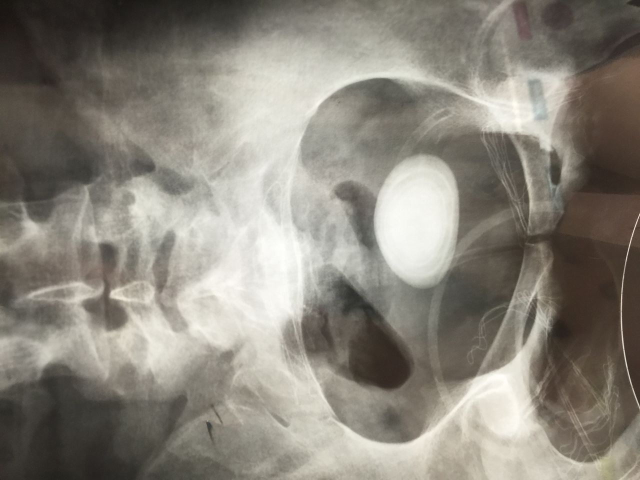 Khaled Ahmed Taha Neto-1