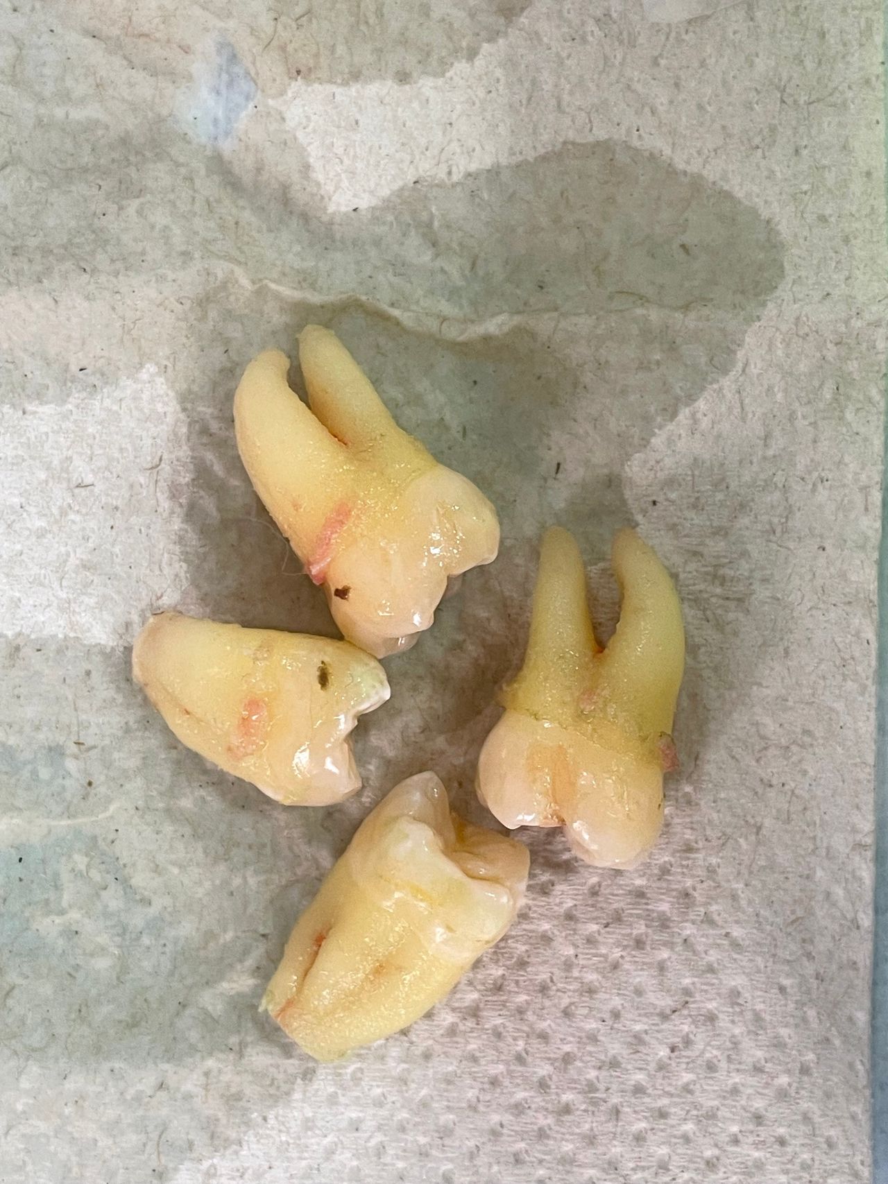 Christian Valencia-14