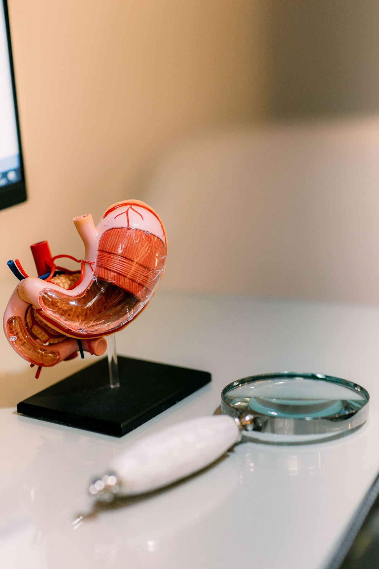 Rodrigo Fabiano Guedes Leite-13