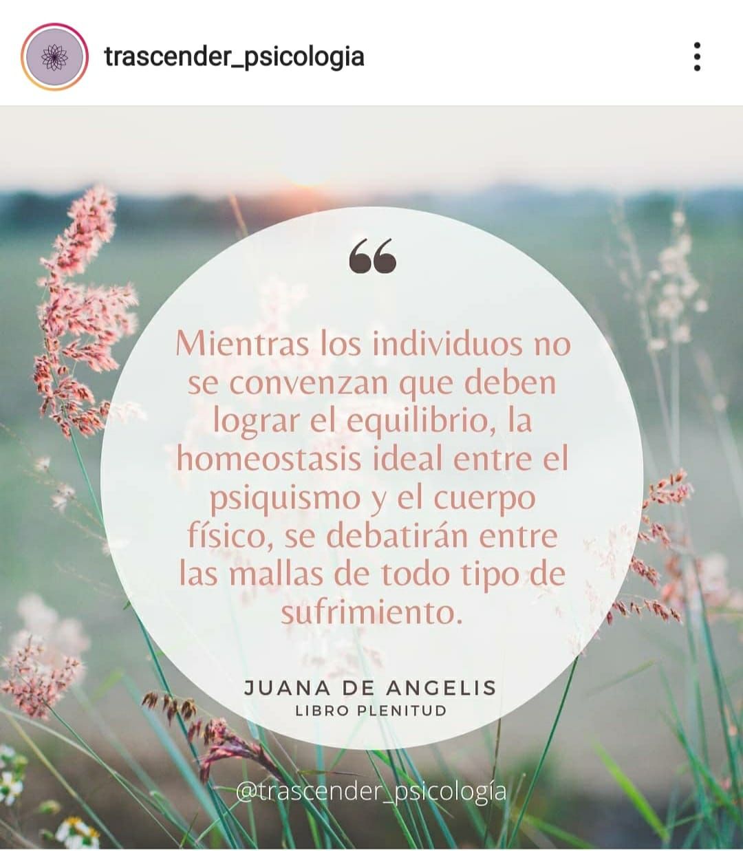 Amira Ayleen Aguilera Char-6