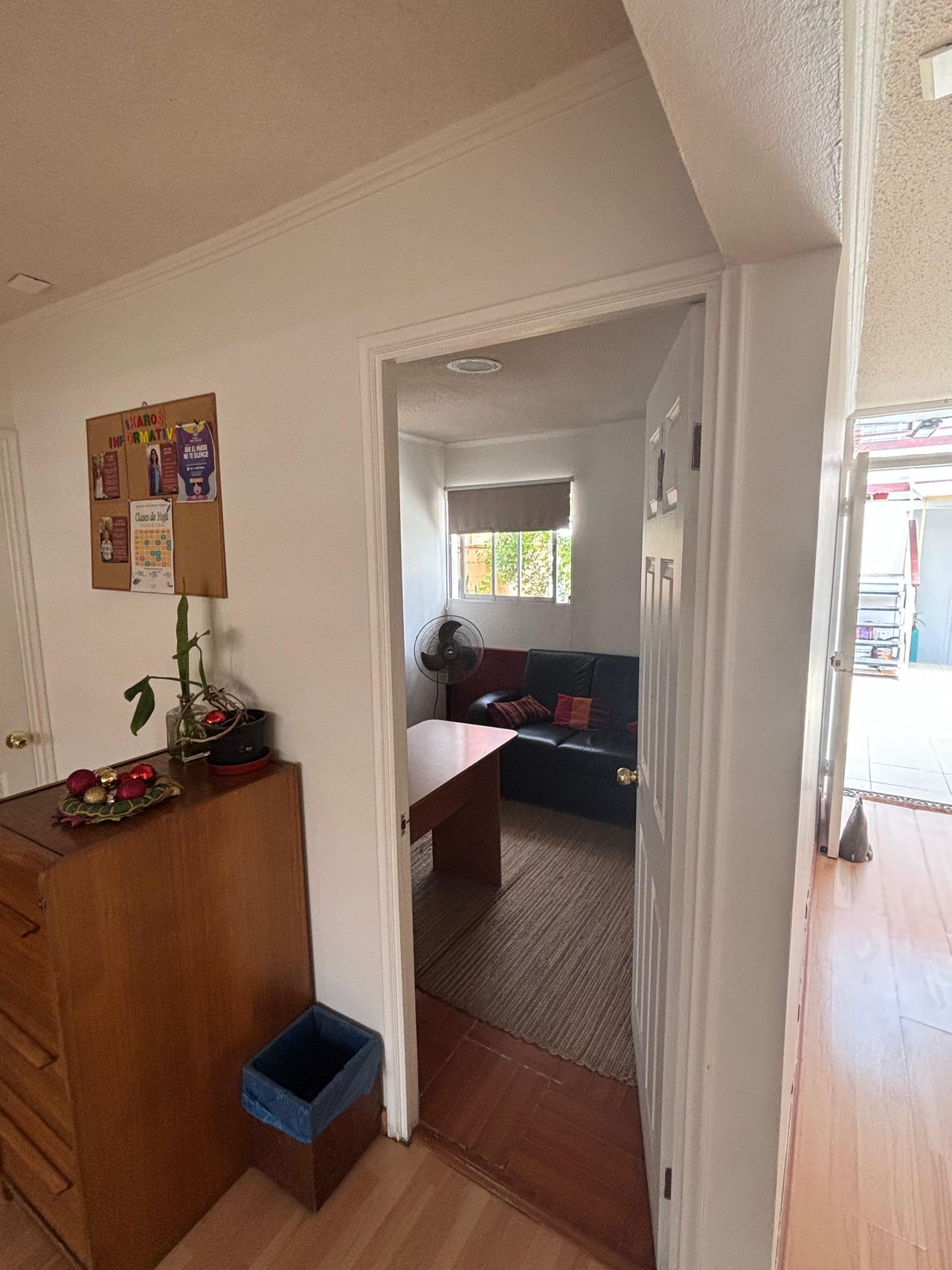 Sebastian Andres Sanchez Peralta-9