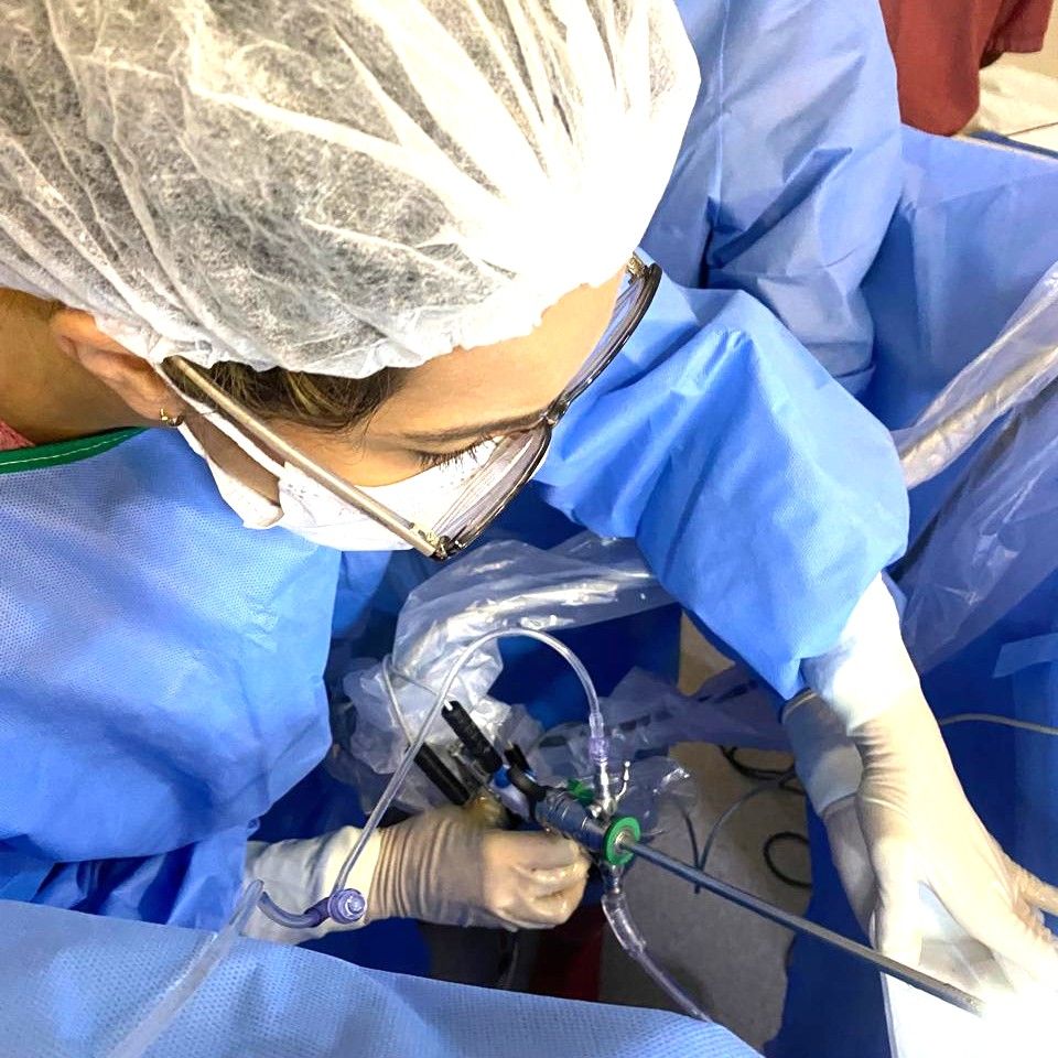 Tainá Pezzin Rocha-7