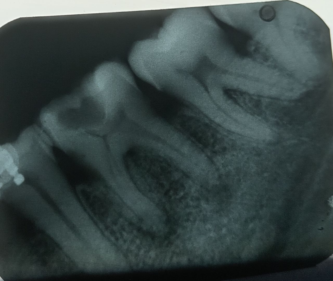 Miguel Angel Bustos Real-17