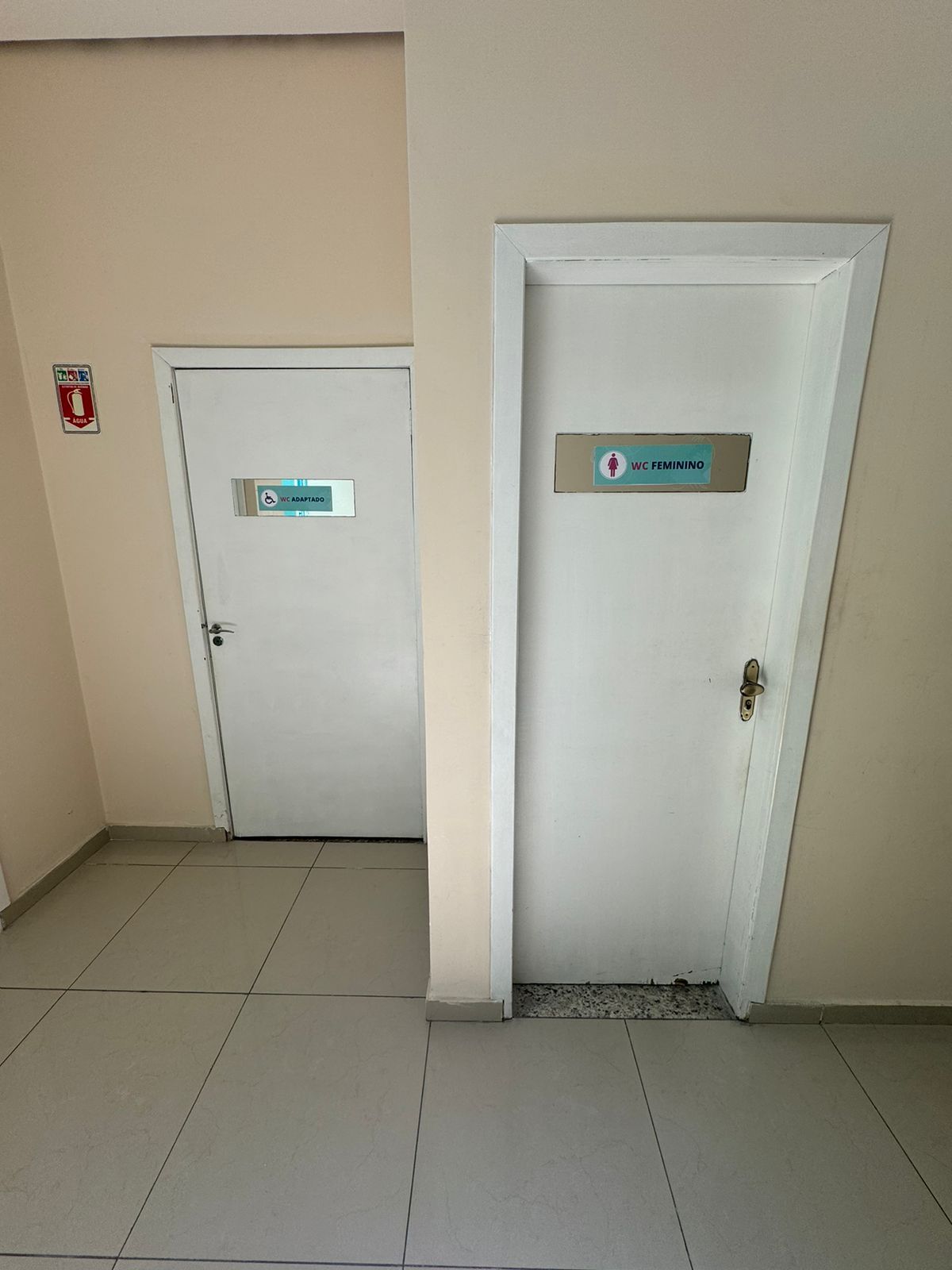 Fernanda Velloso Baptista Lemos-1