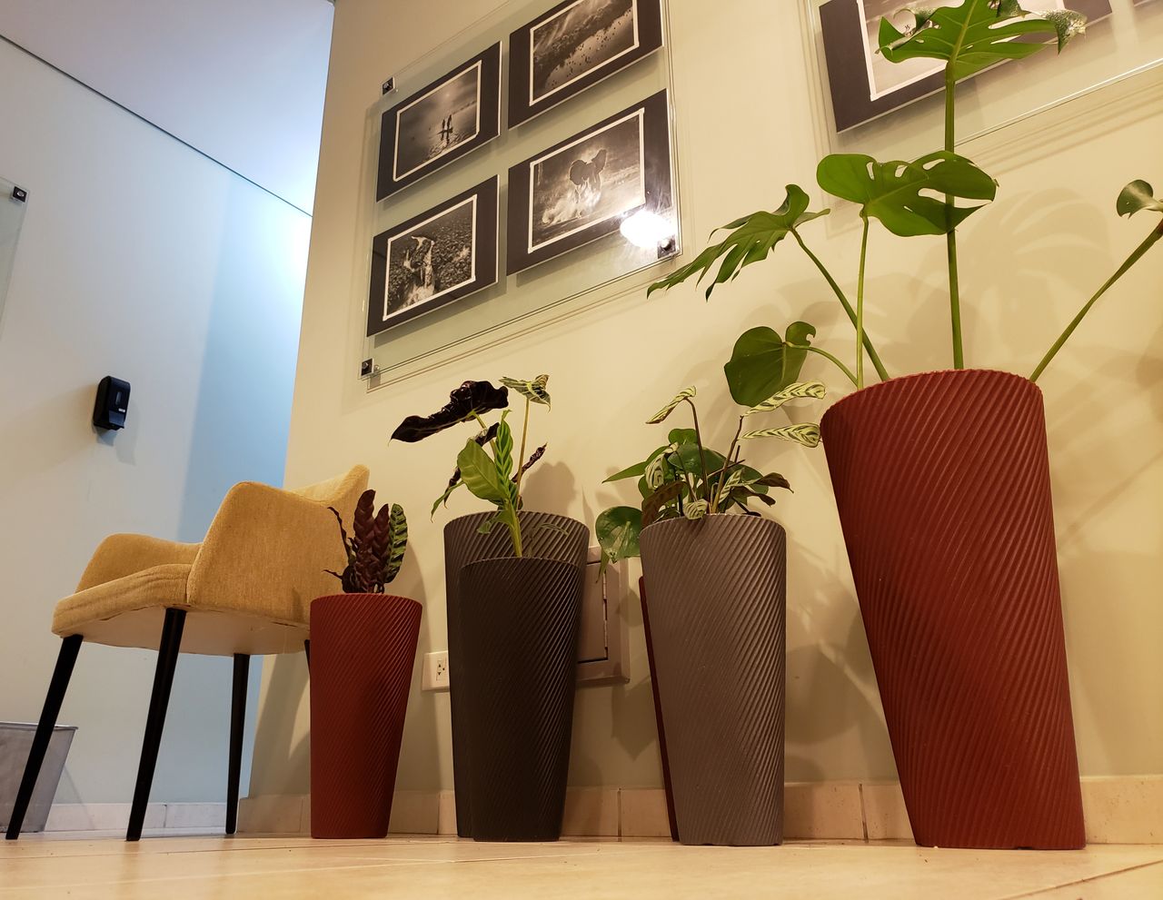 Vanessa De Andrade-9