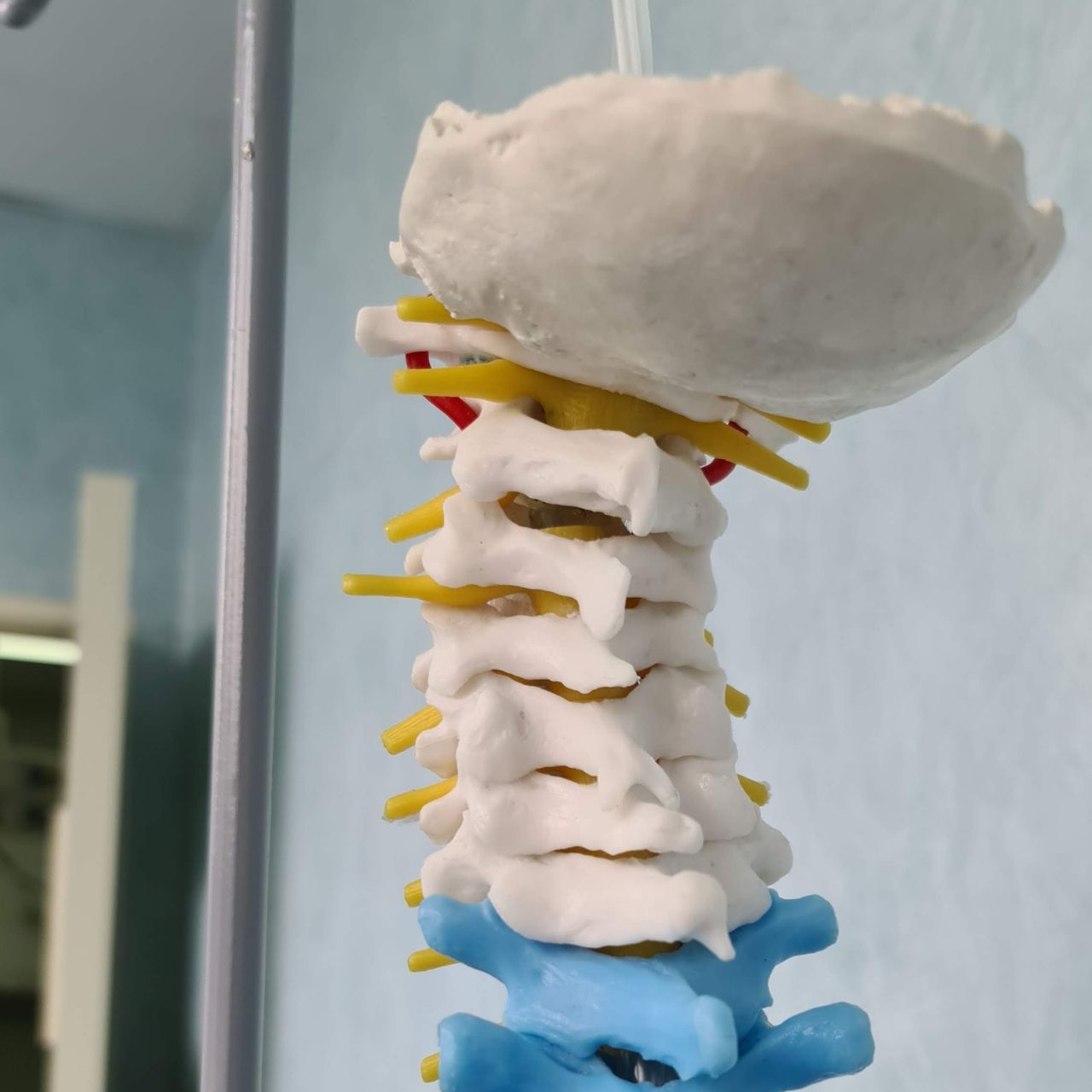 David Tafur Muñoz-1560