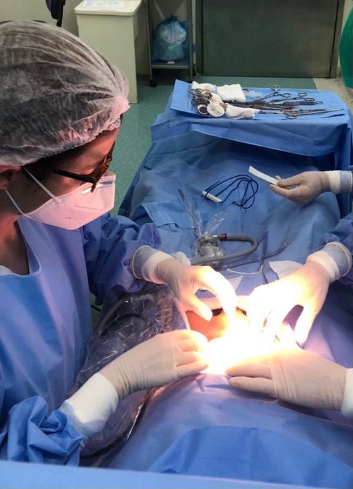 Camila Camisão Henriques-6