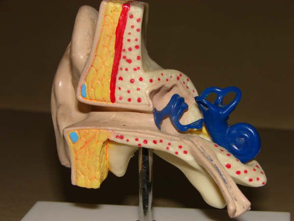 Waldyr Cavalcanti Junior-30