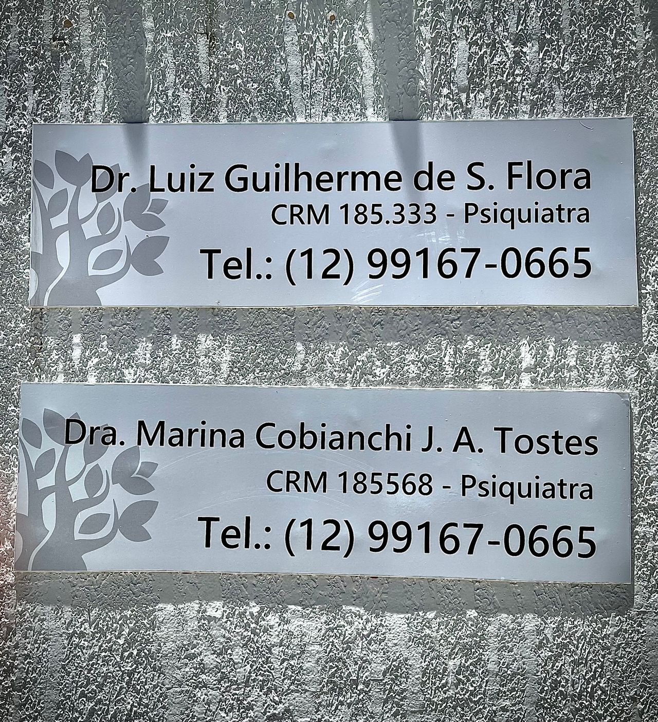 Luiz Guilherme De Siqueira Flora-13