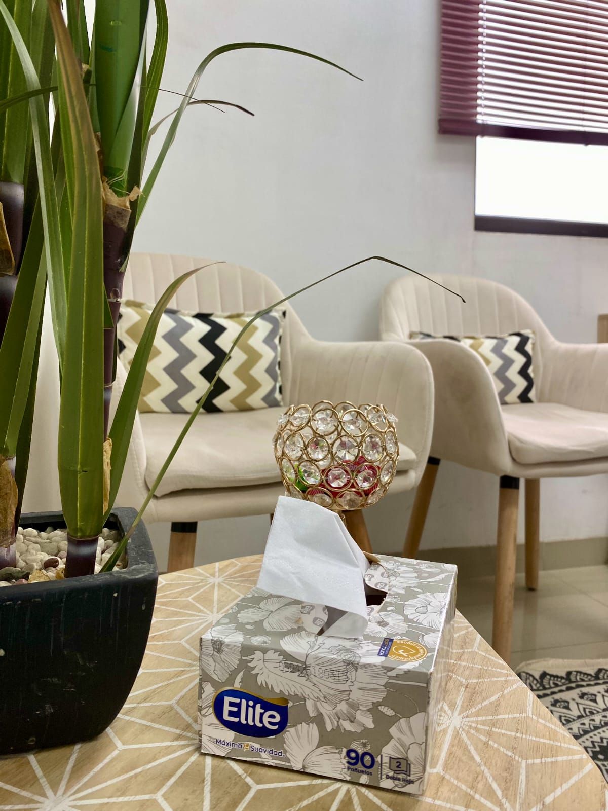 Jennifer Vilca Salinas-13