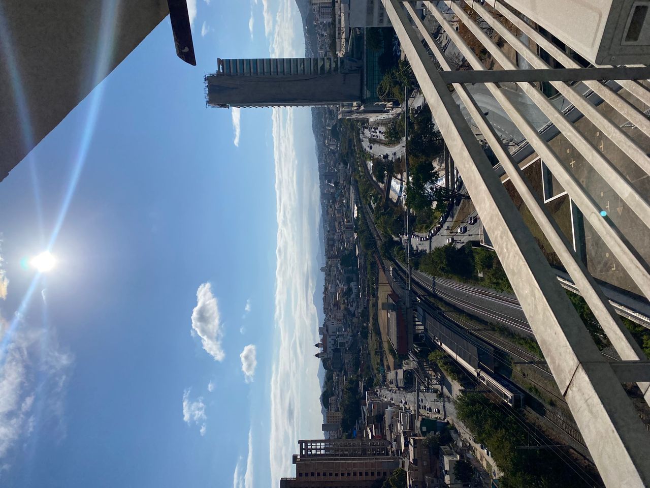 Flávio Alvarenga Carvalho-0