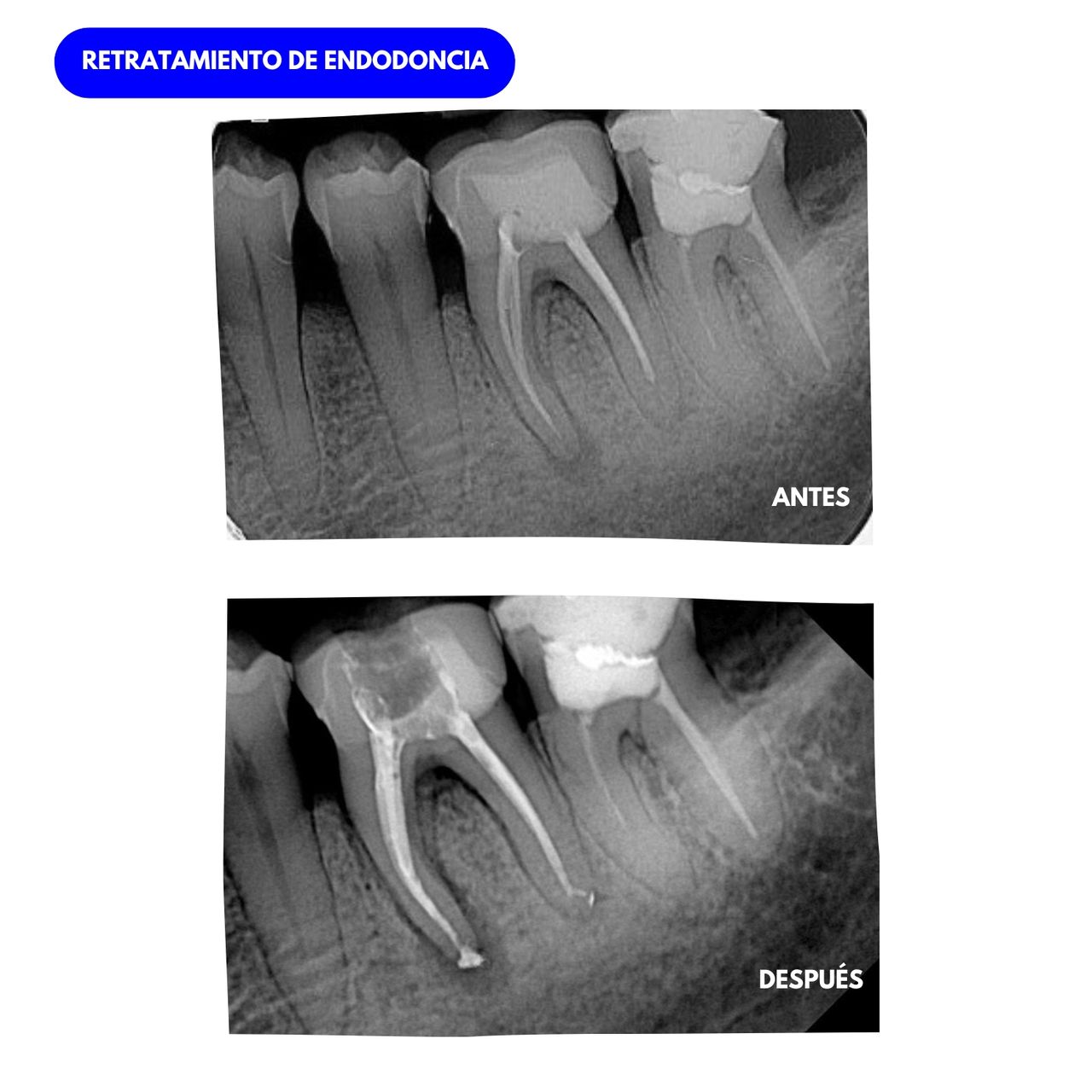 Juliana Vanegas Sánchez-6