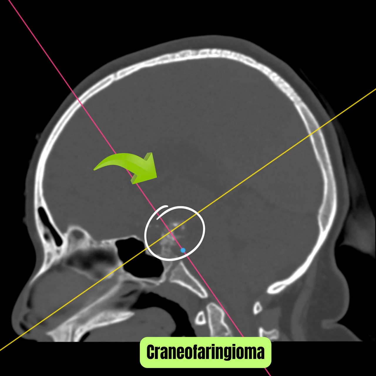 David Tafur Muñoz-1032