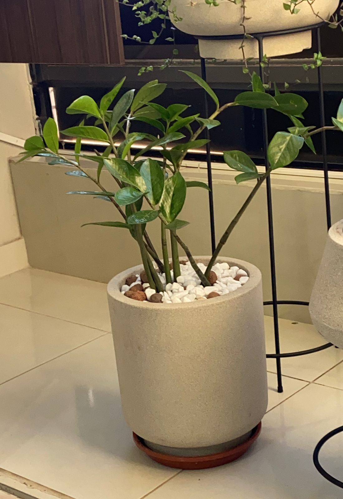 Natália Calábria-24