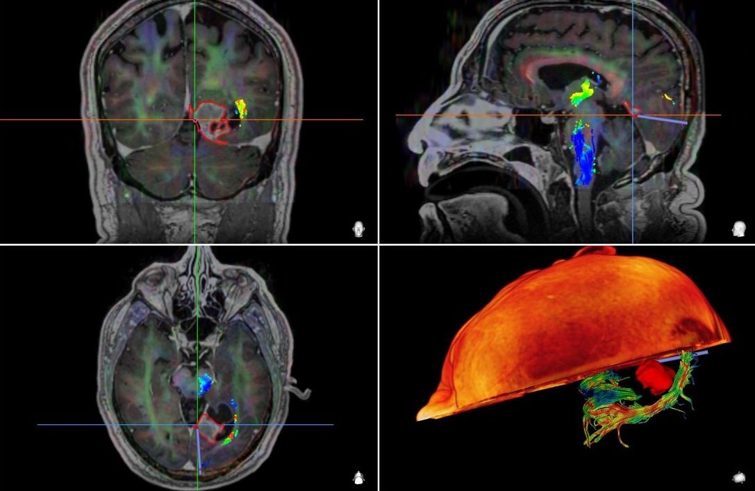 Leonardo Conrado Silva Lima-8