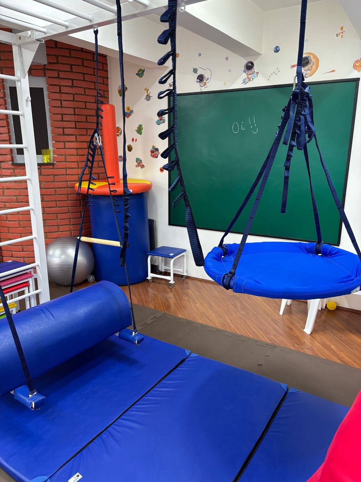 Aline França Rodriguez Loira-2