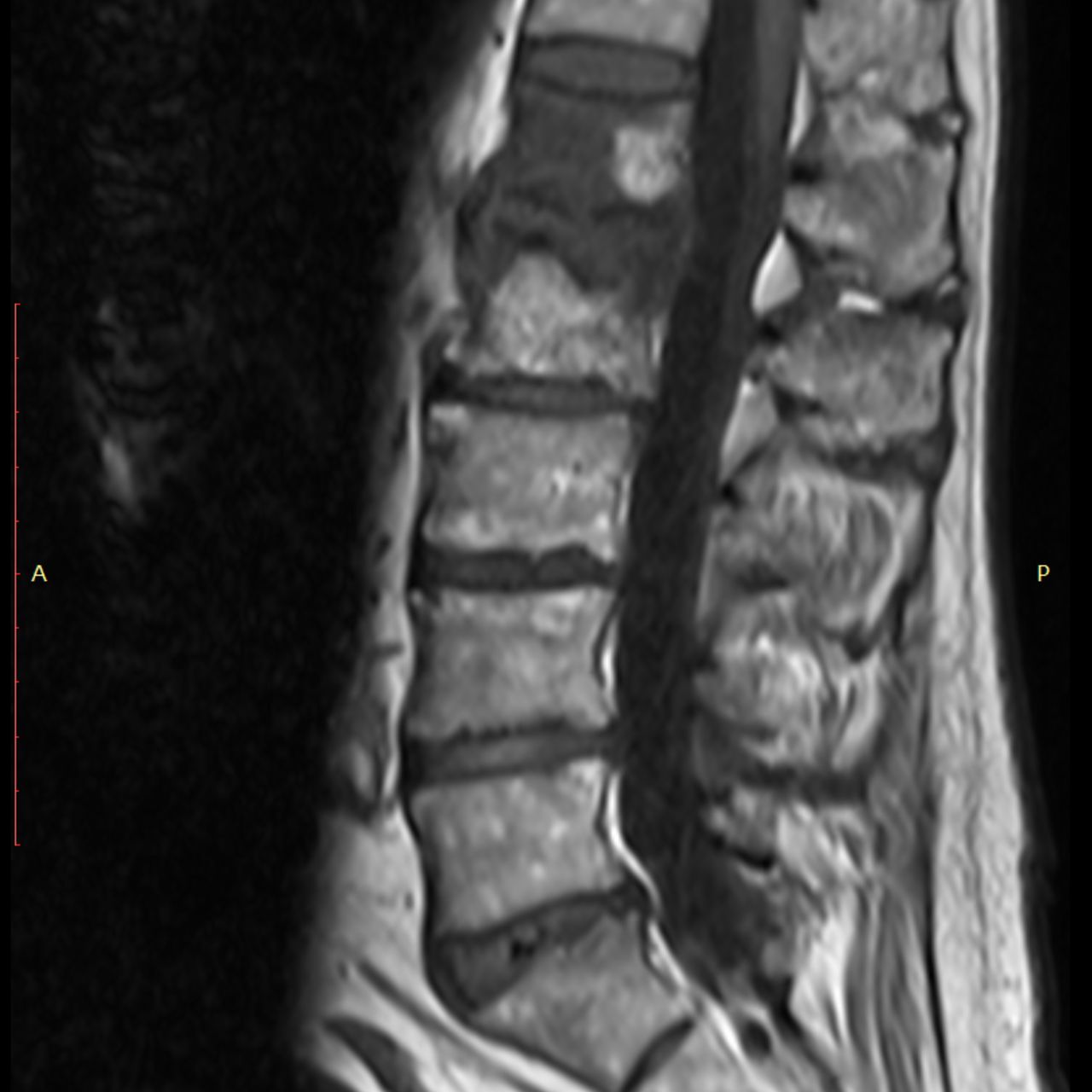 David Tafur Muñoz-1721