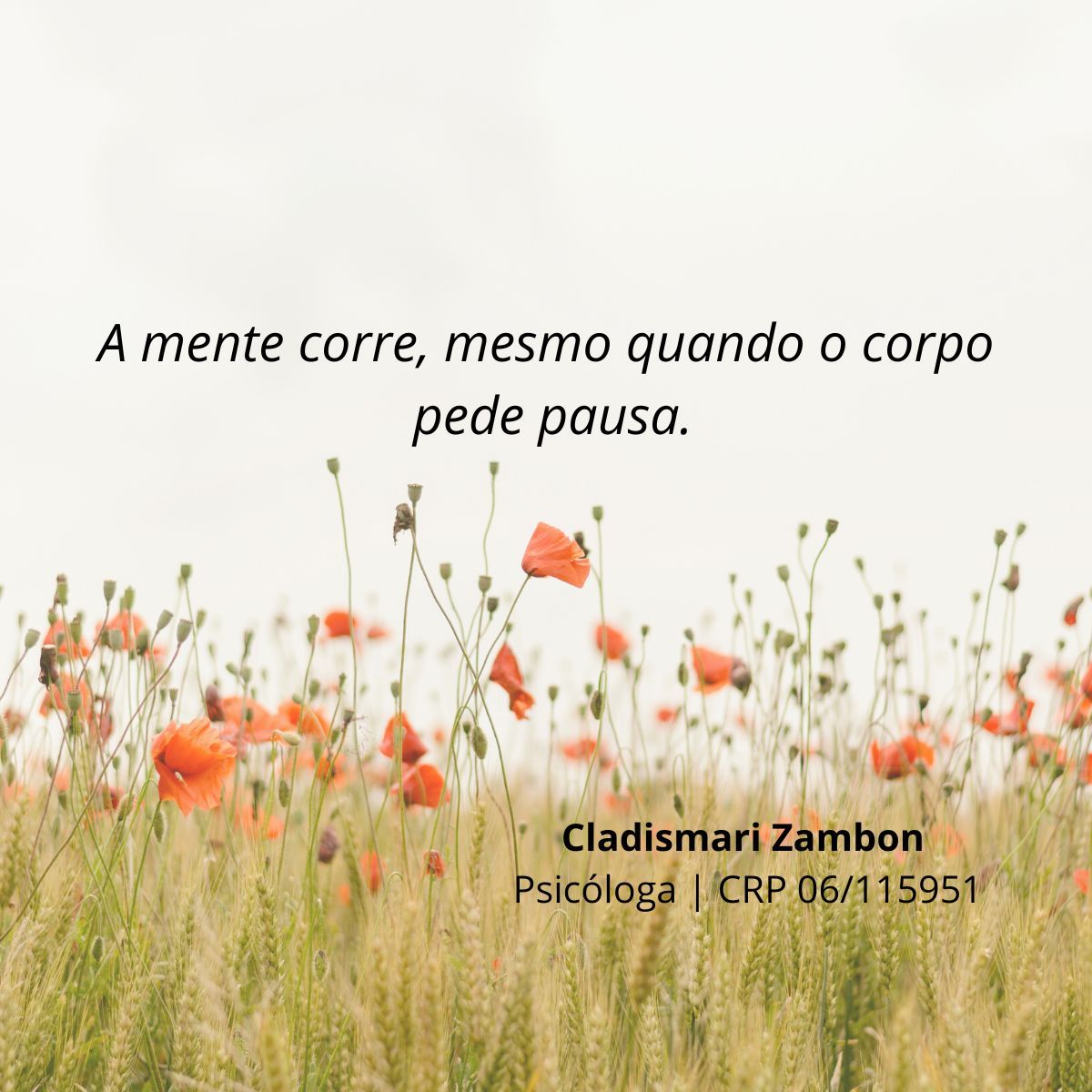 Cladismari Zambon-14