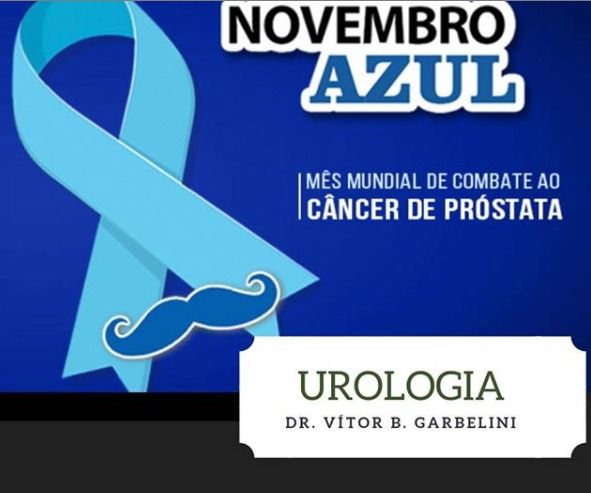 Vítor Brandani Garbelini-11