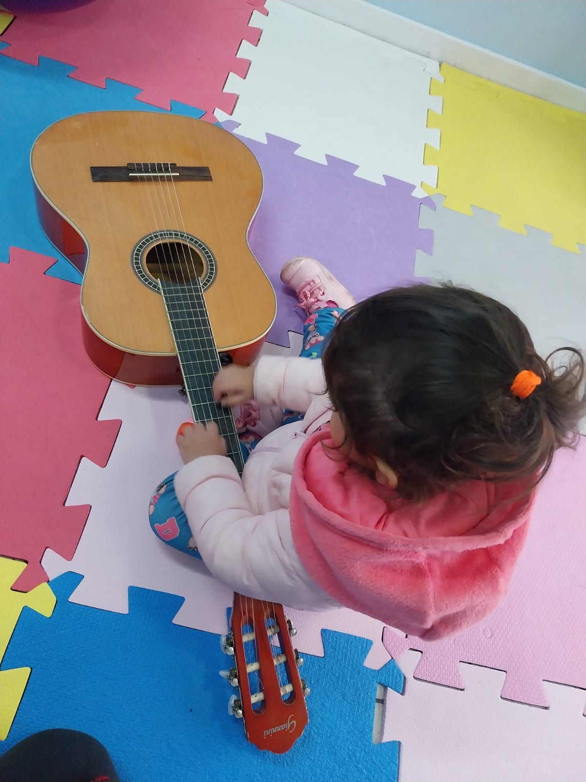 Elaine  Ribeiro Machado-5