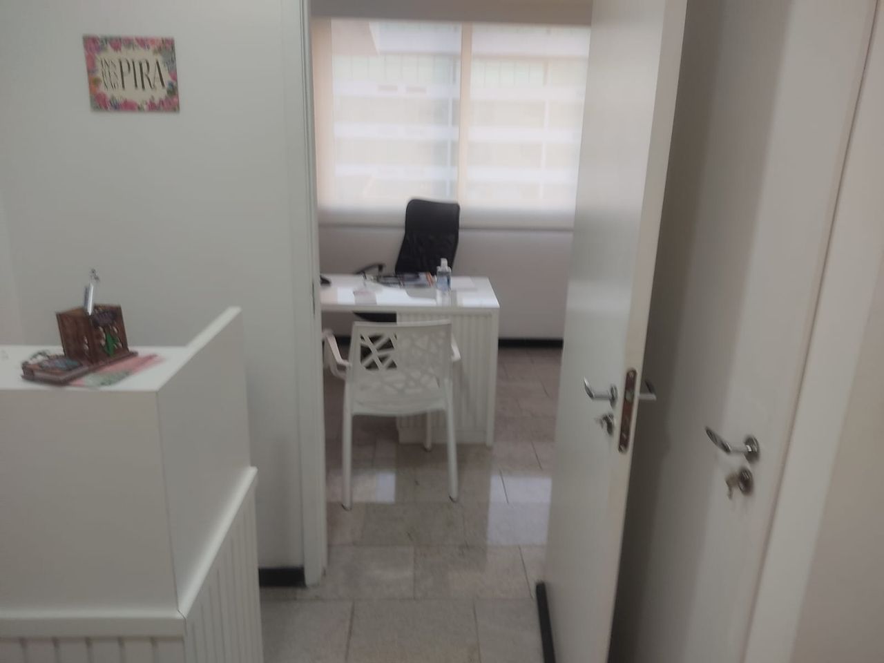 Ana Paula Quintanilha Dos Santos-0