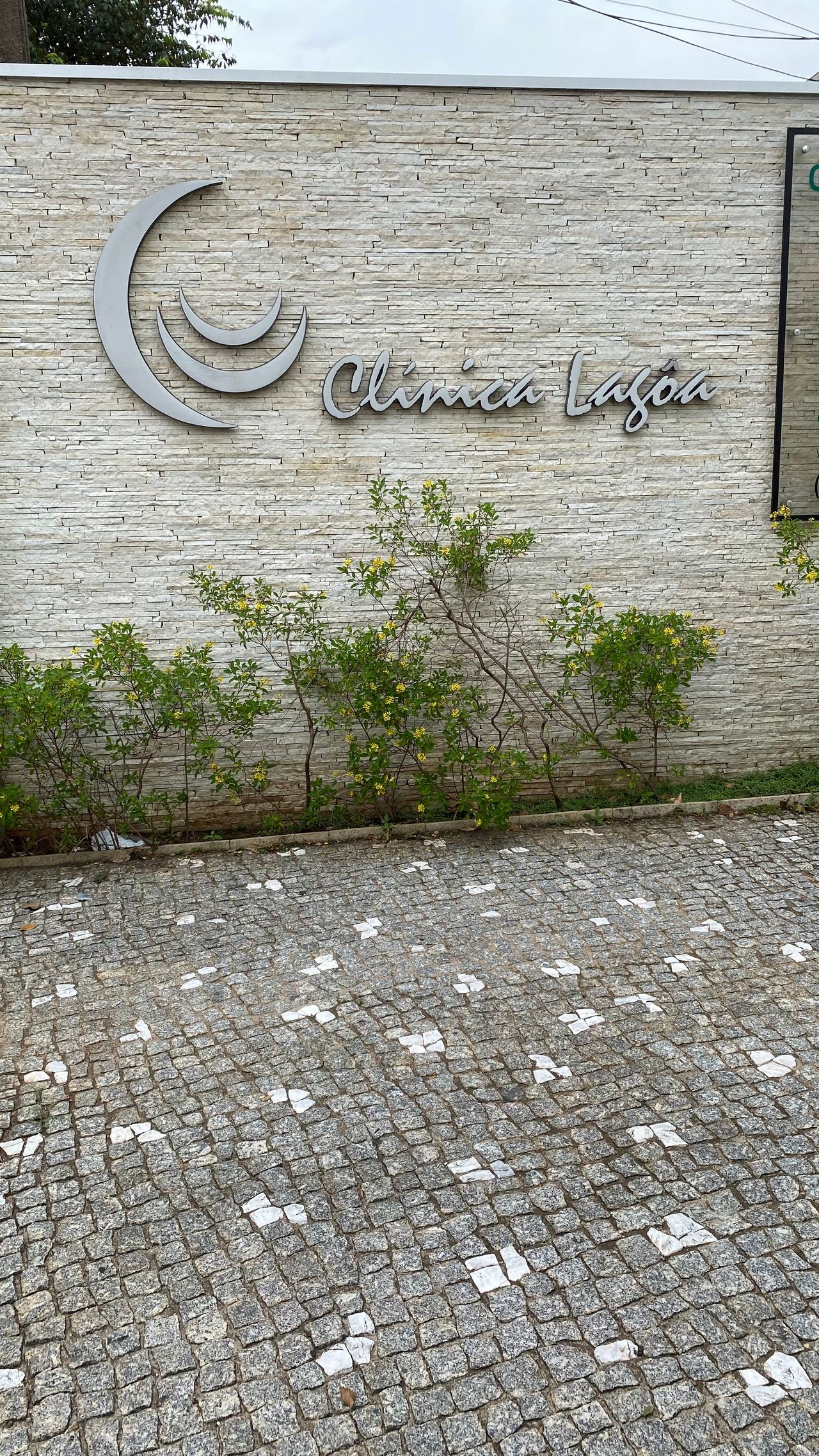 Milena Mendonça Gomes-1