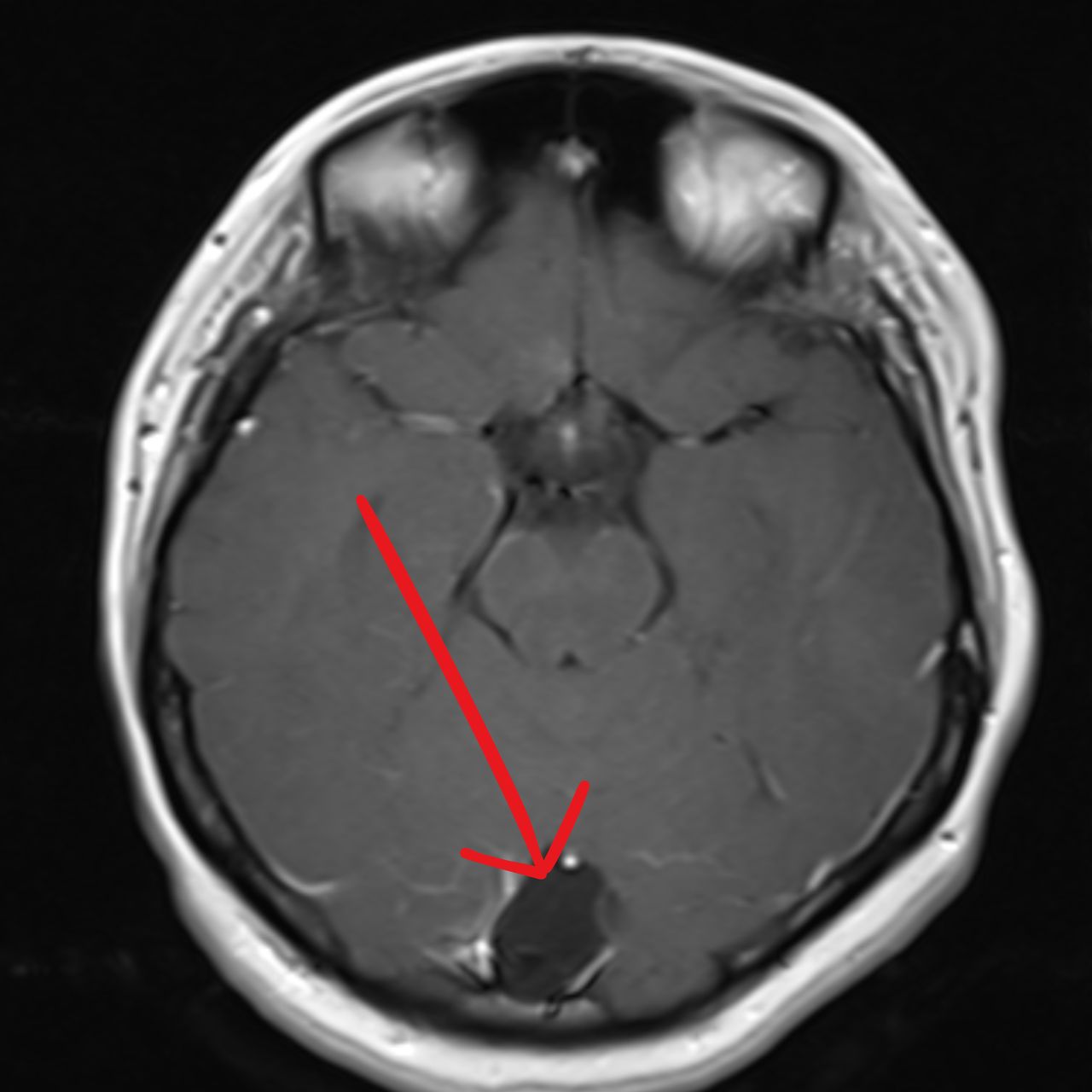 David Tafur Muñoz-2026