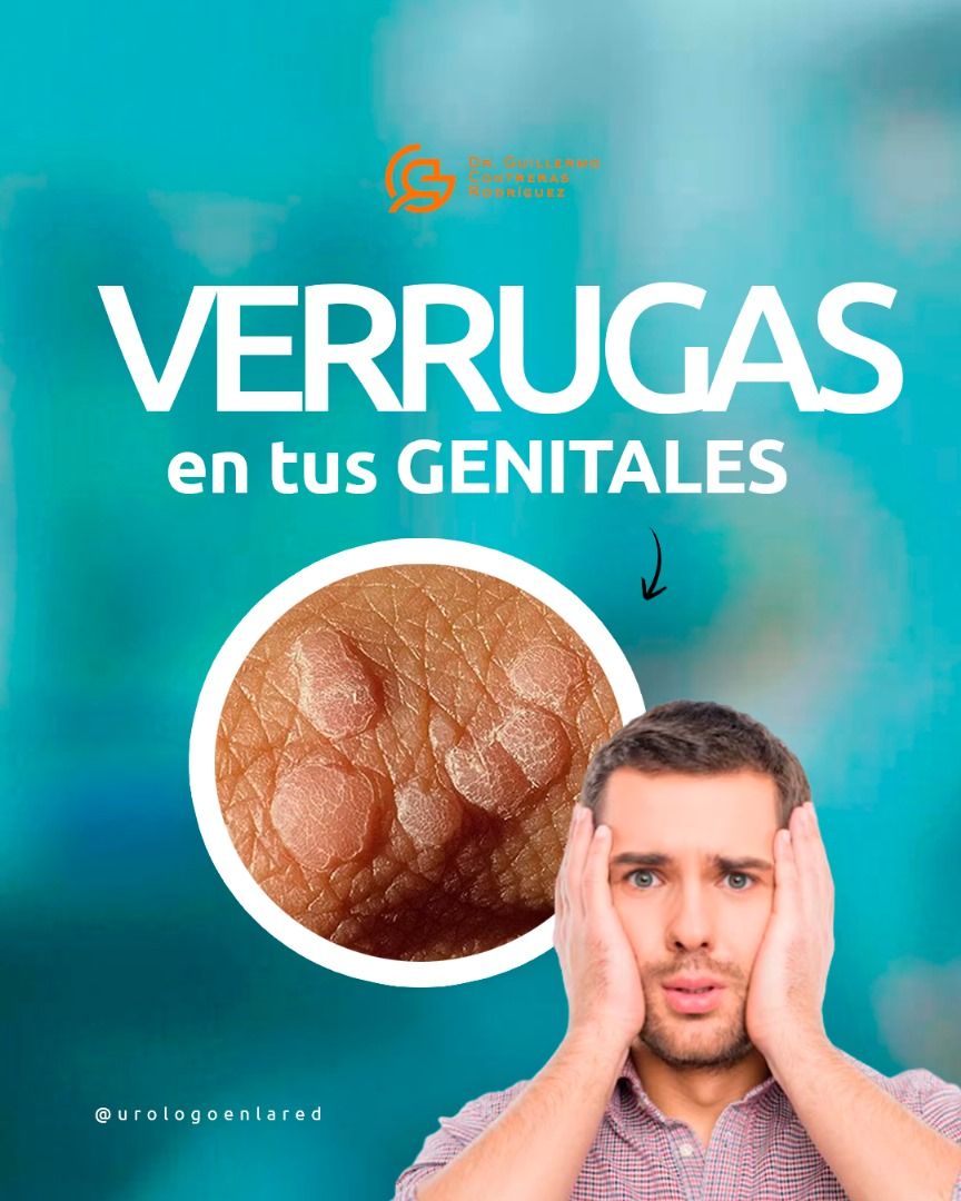 Guillermo Contreras Rodríguez-9