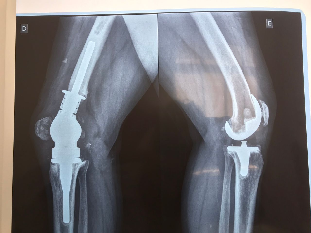 Eduardo Ramalho De Moraes-9